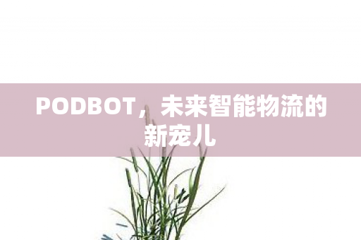 PODBOT，未来智能物流的新宠儿
