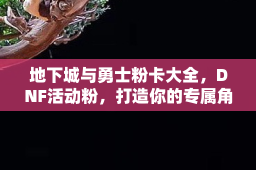 地下城与勇士粉卡大全图片