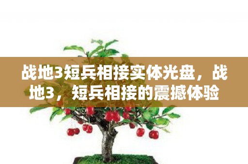 战地3短兵相接实体光盘图片