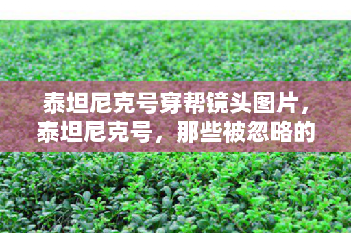 泰坦尼克号穿帮镜头图片图片