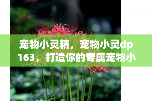 打造你的专属宠物小精灵图片