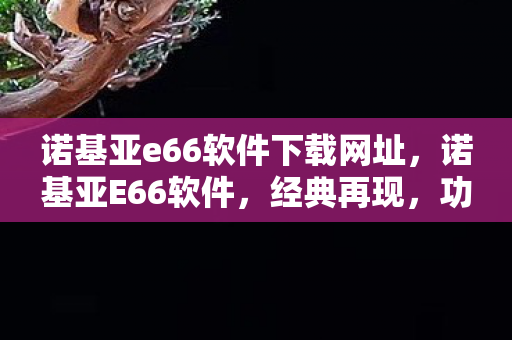 诺基亚e66软件下载网址图片