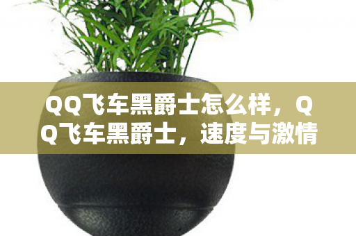 QQ飞车黑爵士怎么样图片