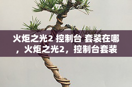 火炬之光2 控制台 套装在哪图片