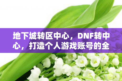 打造个人游戏账号的全方位提升策略图片