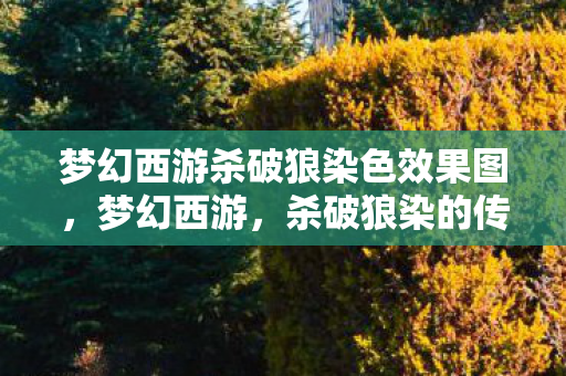 梦幻西游杀破狼染色效果图图片