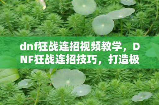 dnf狂战连招视频教学图片