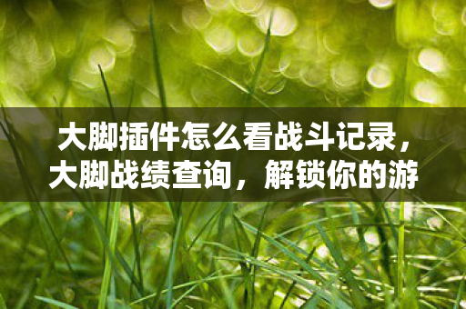 大脚插件怎么看战斗记录图片
