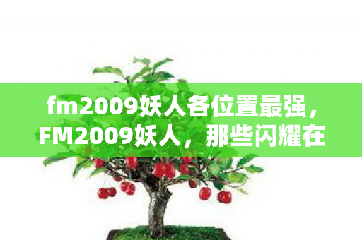 fm2009妖人各位置最强图片