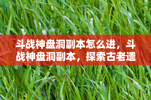 探索古老遗迹的冒险之旅图片