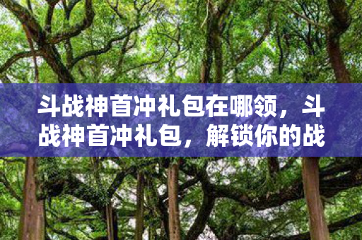 斗战神首冲礼包在哪领图片