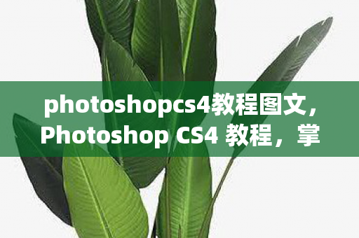 photoshopcs4教程图文图片