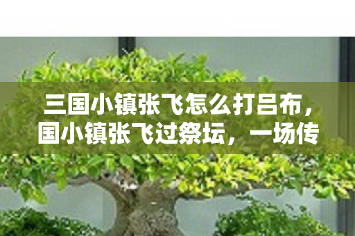 三国小镇张飞怎么打吕布图片