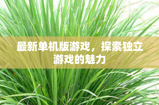 最新单机版游戏，探索独立游戏的魅力