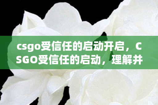csgo受信任的启动开启，CSGO受信任的启动，理解并优化你的游戏环境