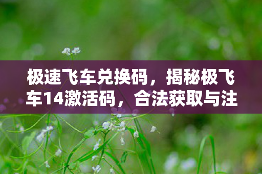揭秘极飞车14激活码图片