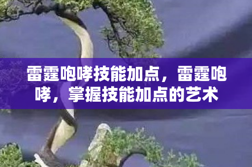 掌握技能加点的艺术图片