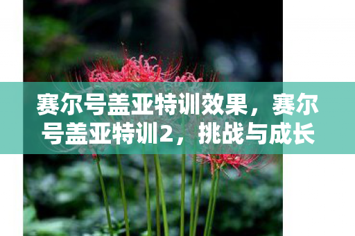 挑战与成长并进的冒险之旅图片