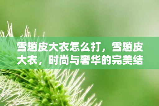 时尚与奢华的完美结合图片