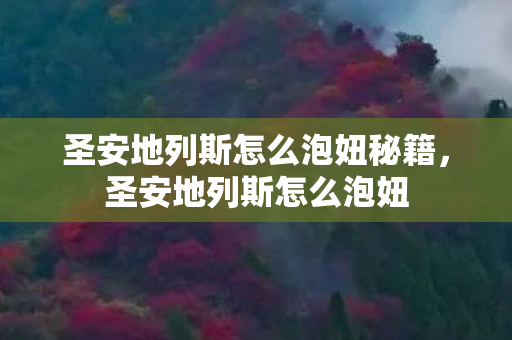 圣安地列斯怎么泡妞秘籍图片