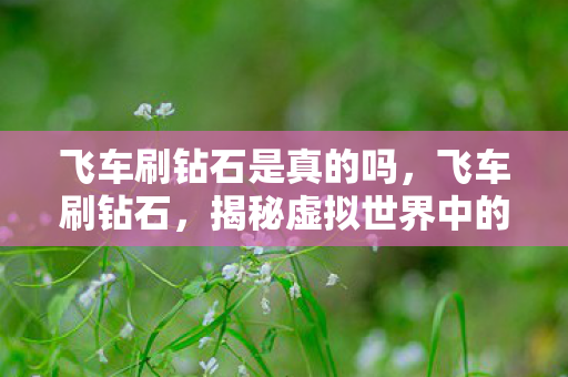 揭秘虚拟世界中的非法行为图片