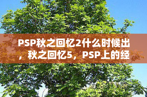PSP秋之回忆2什么时候出图片