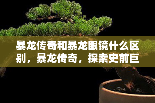 暴龙传奇和暴龙眼镜什么区别图片