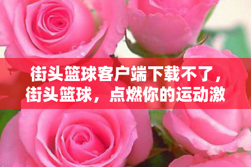 街头篮球客户端下载不了图片