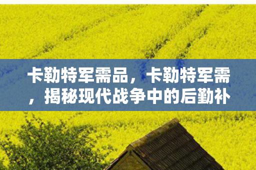 揭秘现代战争中的后勤补给线图片