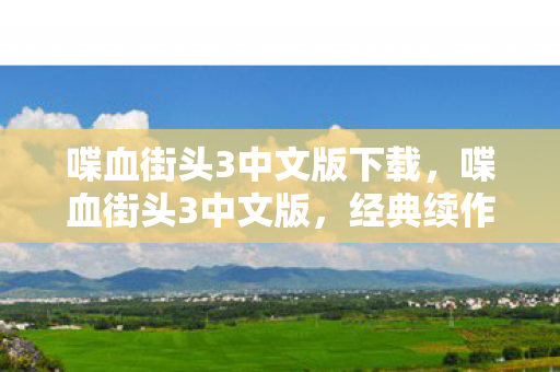 喋血街头3中文版下载图片