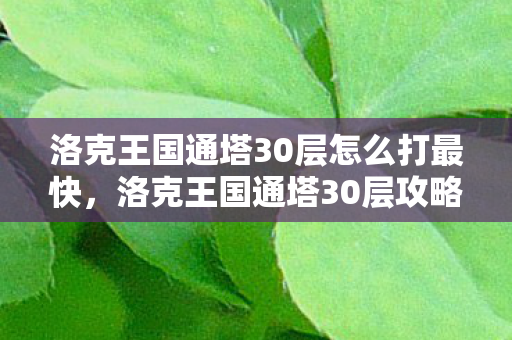 洛克王国通塔30层怎么打最快图片