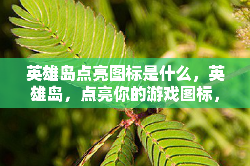 英雄岛点亮图标是什么图片