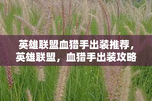 英雄联盟血猎手出装推荐图片