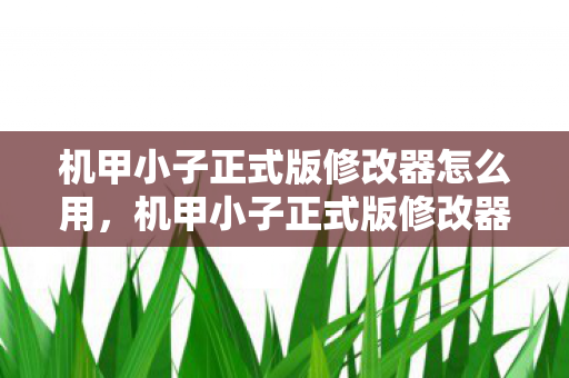 机甲小子正式版修改器怎么用图片