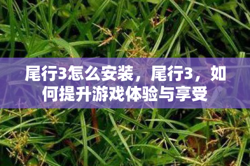 如何提升游戏体验与享受图片