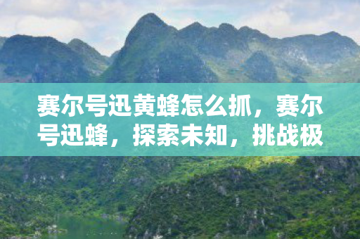 赛尔号迅黄蜂怎么抓图片