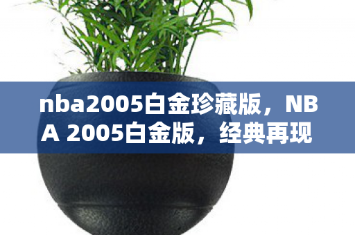 nba2005白金珍藏版图片