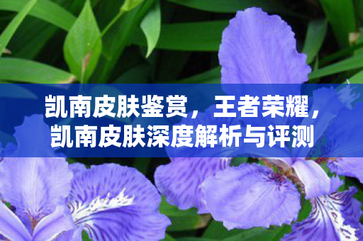 凯南皮肤深度解析与评测图片