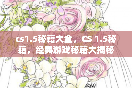 cs1.5秘籍大全，CS 1.5秘籍，经典游戏秘籍大揭秘