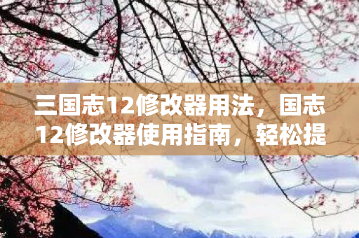 国志12修改器使用指南图片