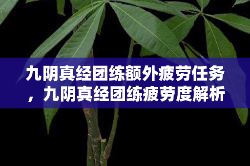 九阴真经团练额外疲劳任务图片