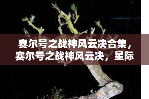 赛尔号之战神风云决合集图片