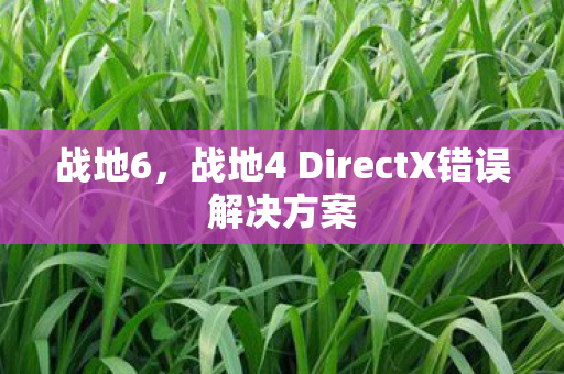 战地4 DirectX错误解决方案图片