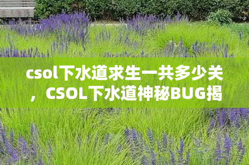 csol下水道求生一共多少关图片