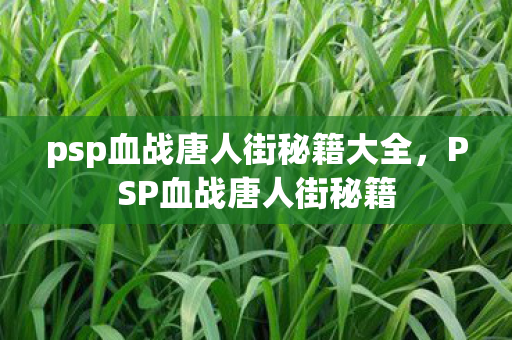 psp血战唐人街秘籍大全图片