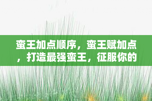 蛮王加点顺序图片