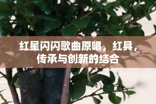 红星闪闪歌曲原唱图片