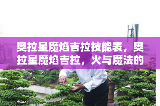 奥拉星魔焰吉拉技能表图片