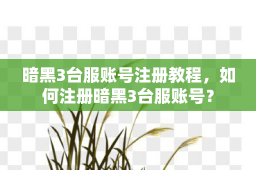 暗黑3台服账号注册教程图片