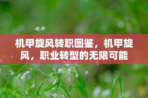 职业转型的无限可能图片